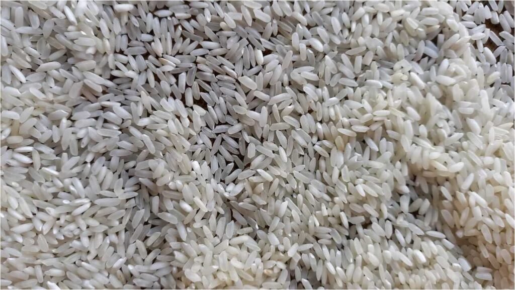 MEDIUM GRAIN RICE M.F.H.S Agro Private Limited