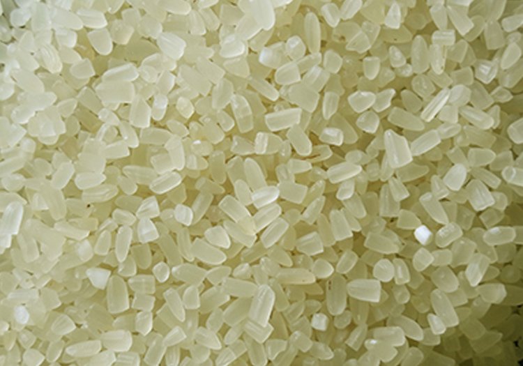 BROKEN RICE M.F.H.S Agro Private Limited