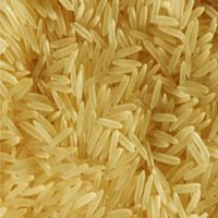 1401-Golden-Sella-Rice
