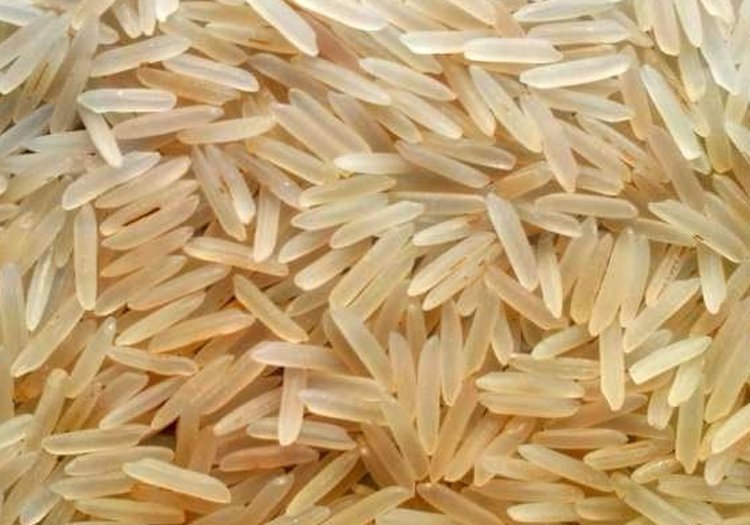 BASMATI RICE M.F.H.S Agro Private Limited