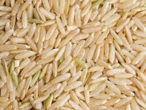 NON BASMATI RICE M.F.H.S Agro Private Limited