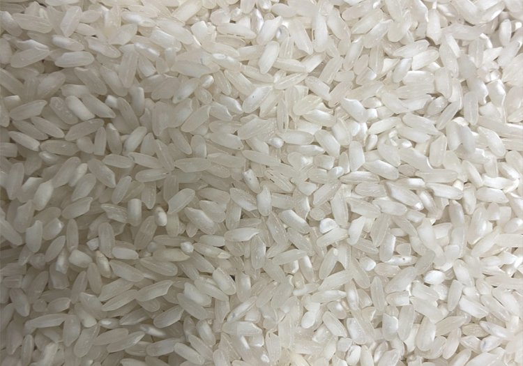 MEDIUM GRAIN RICE M.F.H.S Agro Private Limited