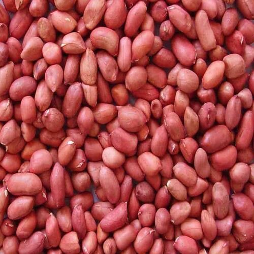 Oil Seeds M.F.H.S Agro Private Limited