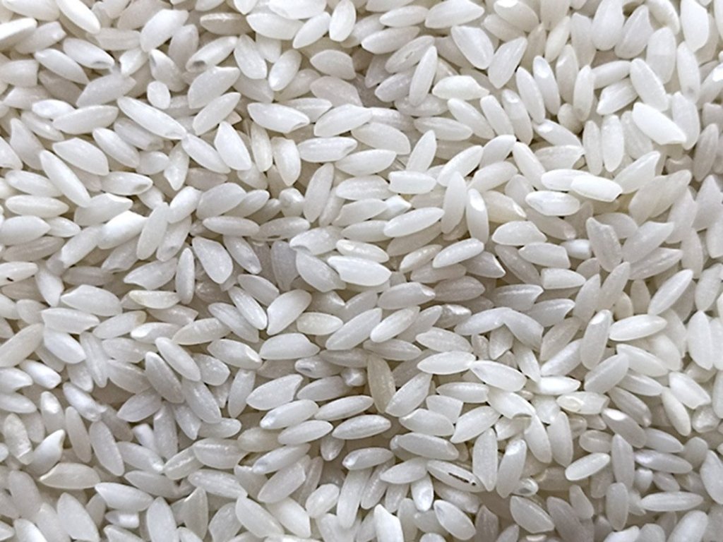 MEDIUM GRAIN RICE M.F.H.S Agro Private Limited