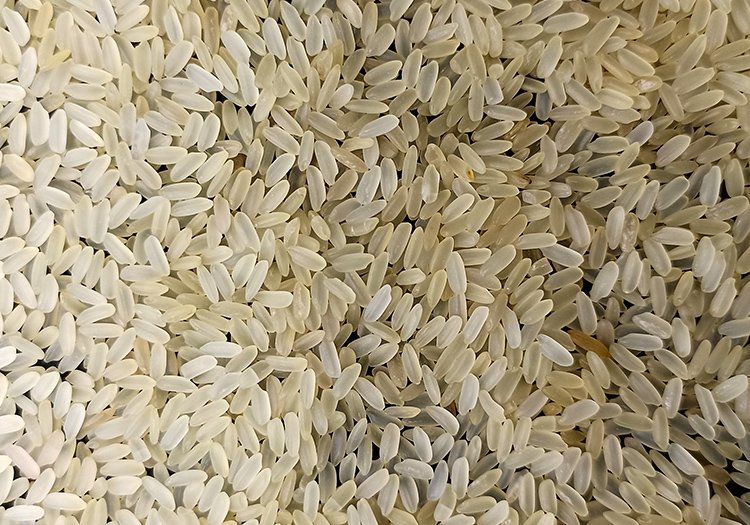 MEDIUM GRAIN RICE M.F.H.S Agro Private Limited